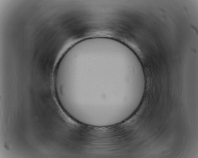 X0000097791470200803070924
