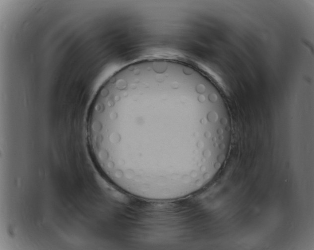 X0000097791471200803070924
