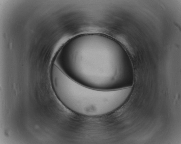 X0000097791472200803070924