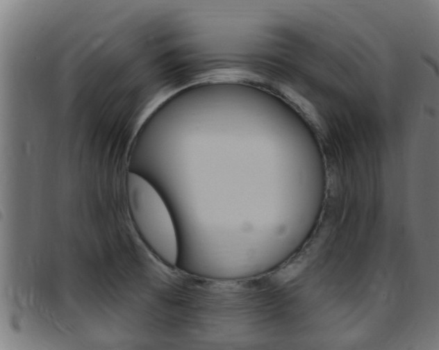 X0000097791473200803070924