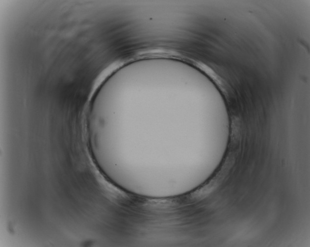 X0000097791474200803070924