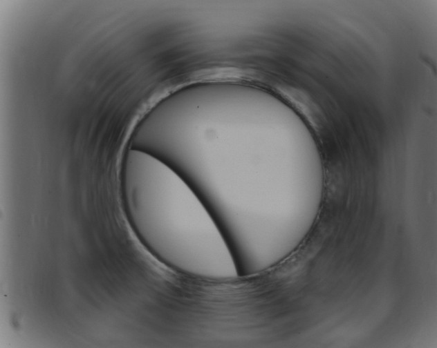 X0000097791475200803070924