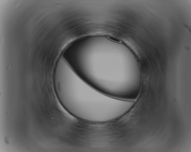 X0000097791476200803070924