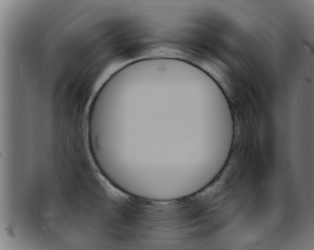X0000097791478200803070924