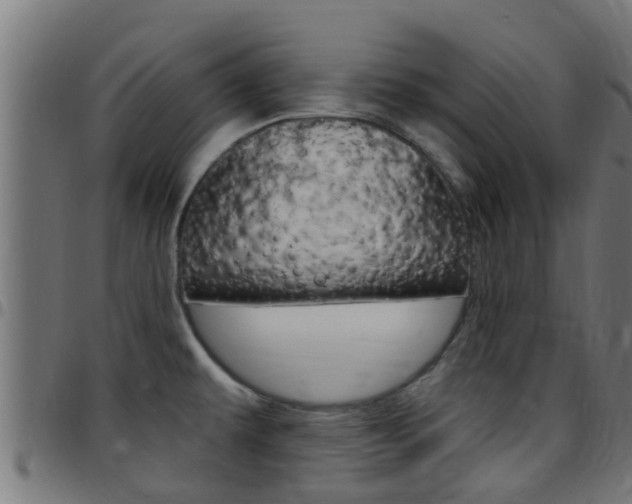 X0000097791479200803070924
