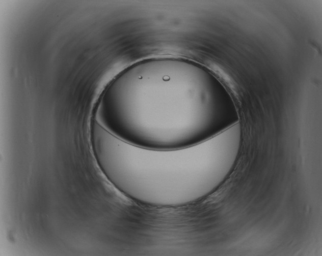 X0000097791480200803070924