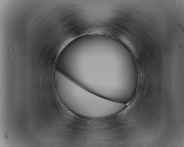 X0000097791481200803070924