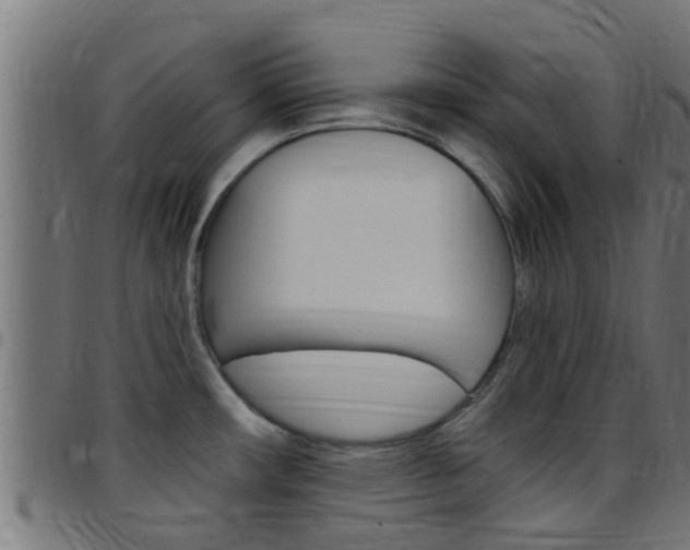 X0000097791482200803070924