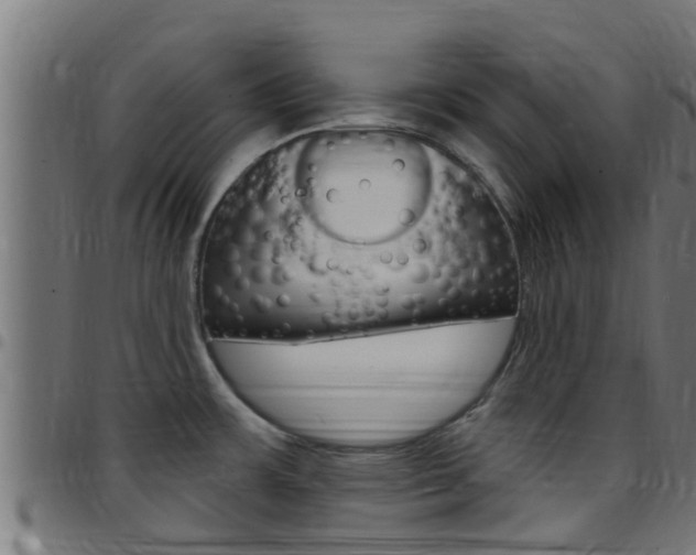 X0000097791483200803070924