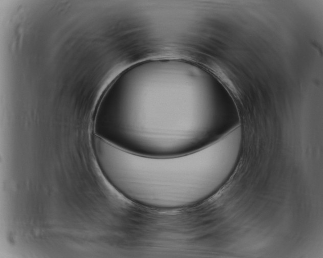 X0000097791484200803070924