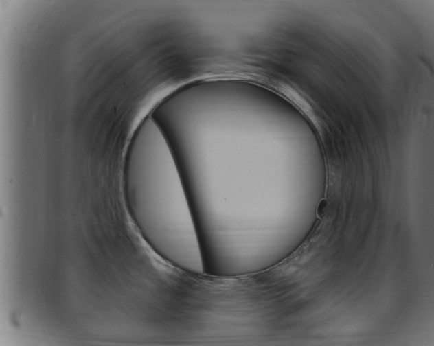 X0000097791485200803070924