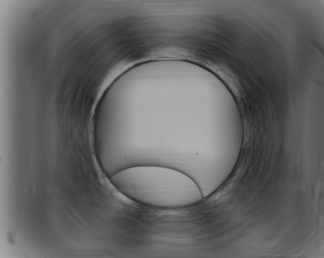 X0000097791486200803070924