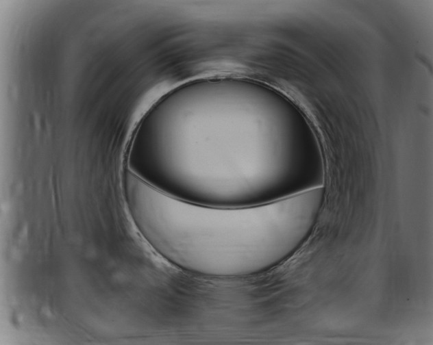X0000097791488200803070924