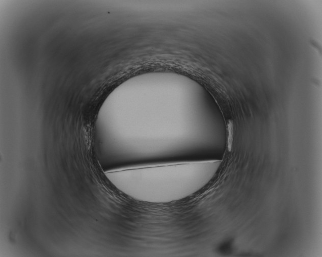 X0000097791491200803070924