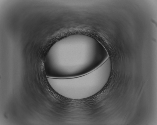 X0000097791492200803070924