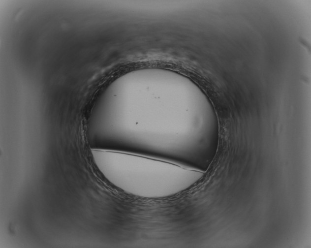 X0000097791493200803070924
