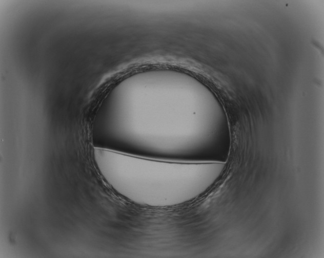 X0000097791494200803070924