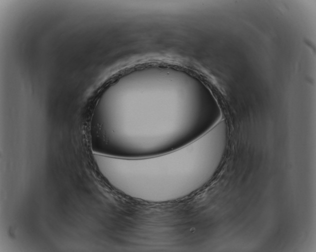 X0000097791496200803070924