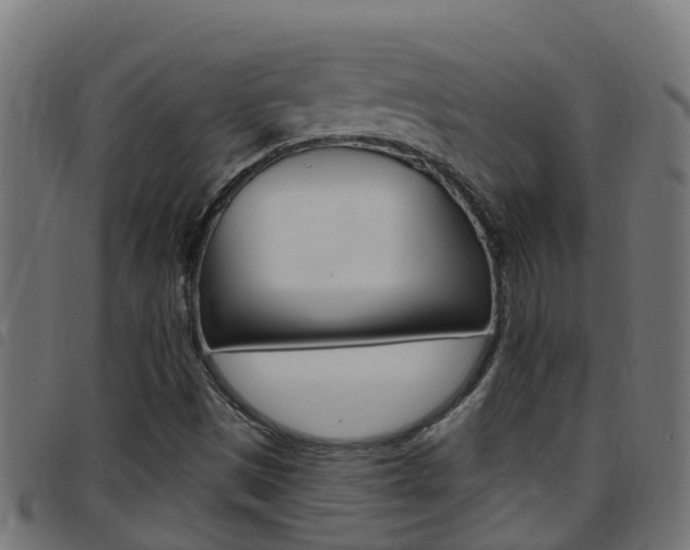 X0000097791497200803070924