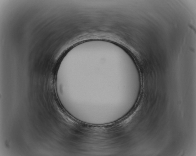 X0000097791498200803070924