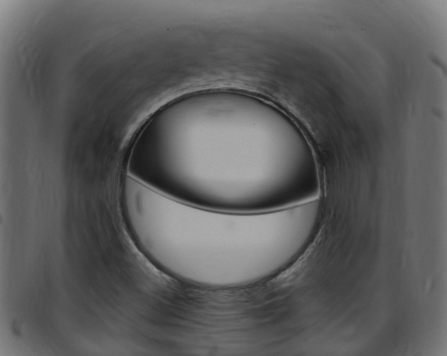 X0000097791500200803070924