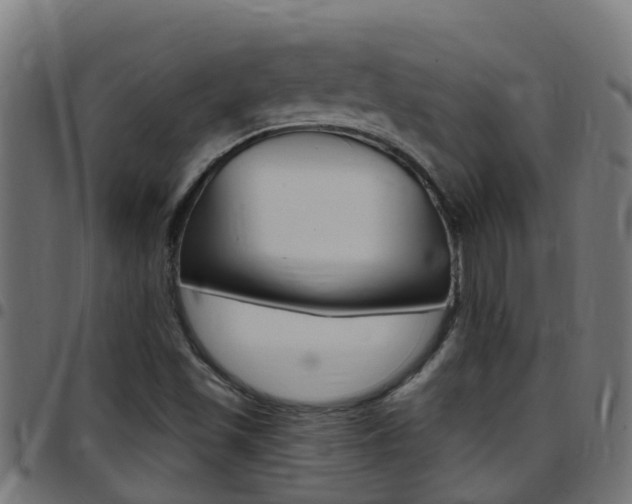 X0000097791501200803070924