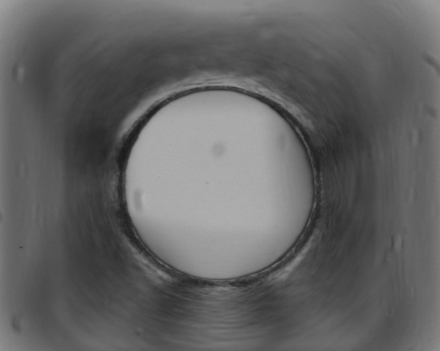 X0000097791502200803070924