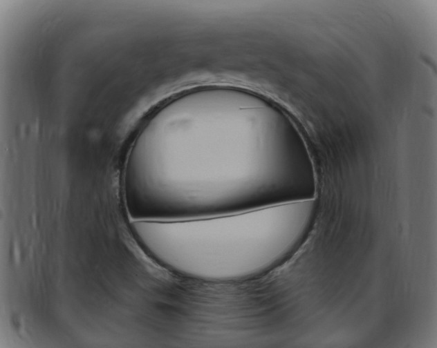 X0000097791503200803070924
