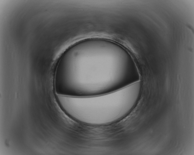 X0000097791504200803070924