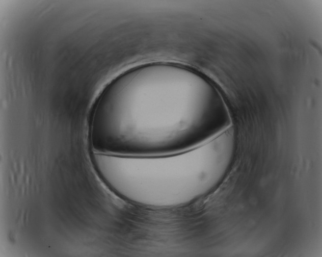 X0000097791508200803070924