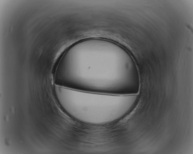 X0000097791509200803070924