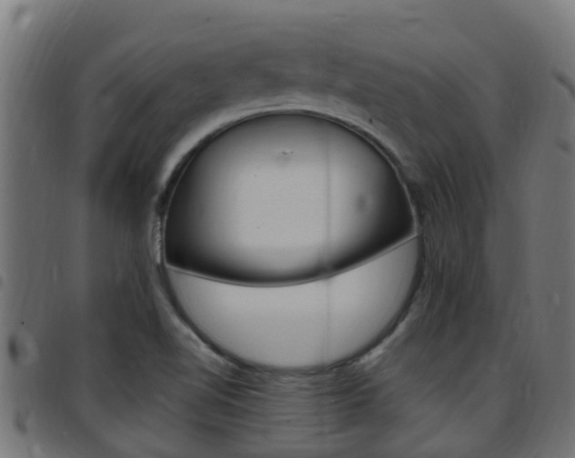 X0000097791510200803070924