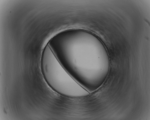 X0000097791512200803070924