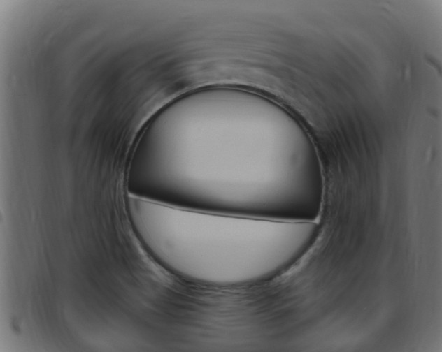 X0000097791513200803070924