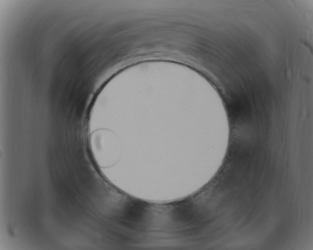 X0000097791514200803070924