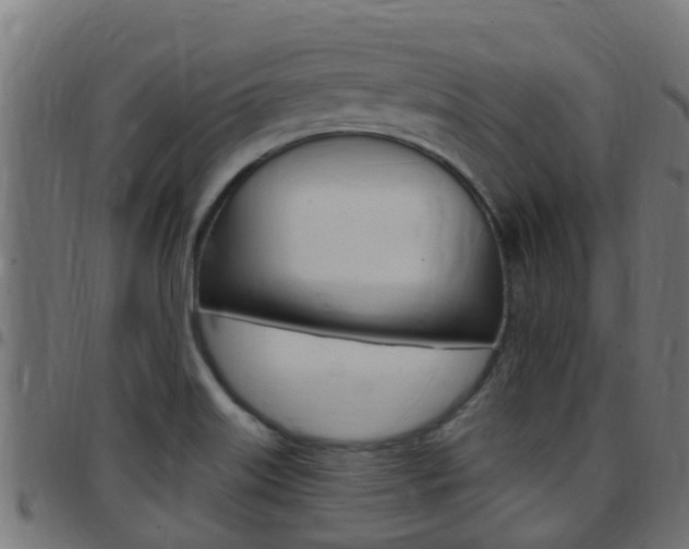 X0000097791515200803070924