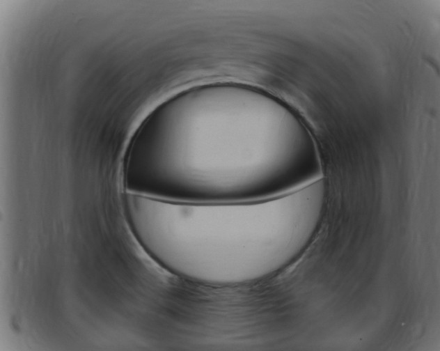 X0000097791516200803070924