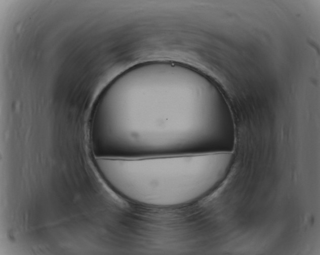X0000097791517200803070924