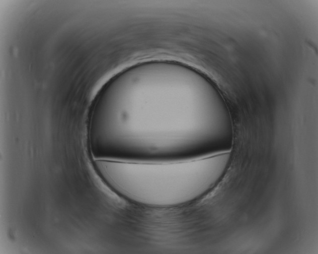 X0000097791518200803070924