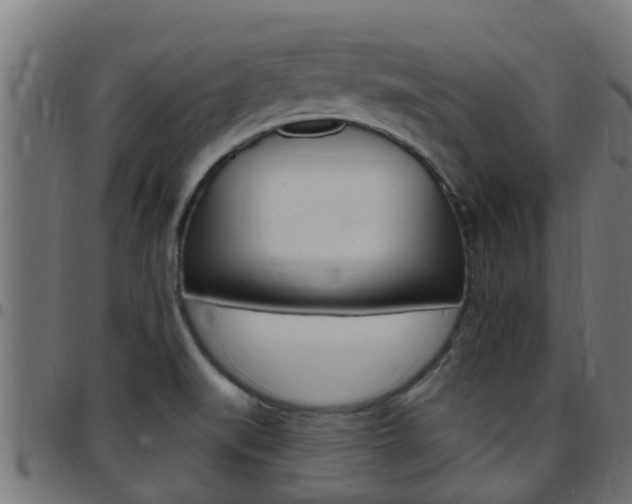 X0000097791519200803070924