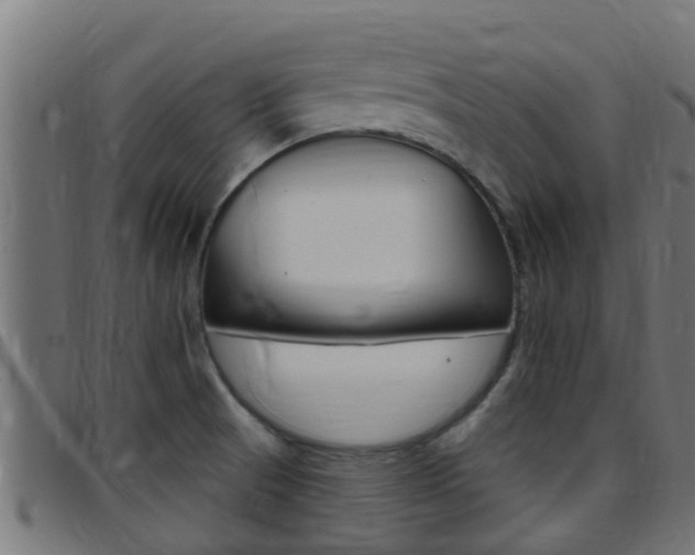 X0000097791521200803070924