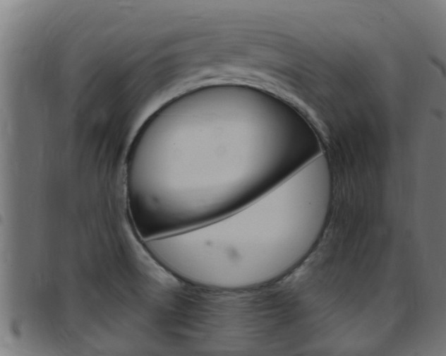 X0000097791522200803070924