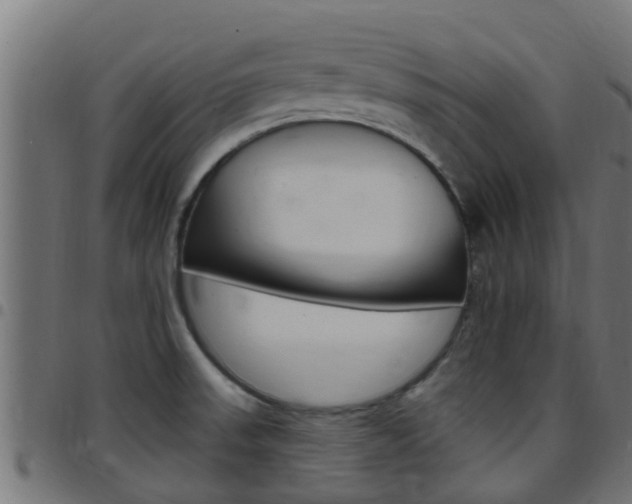 X0000097791523200803070924