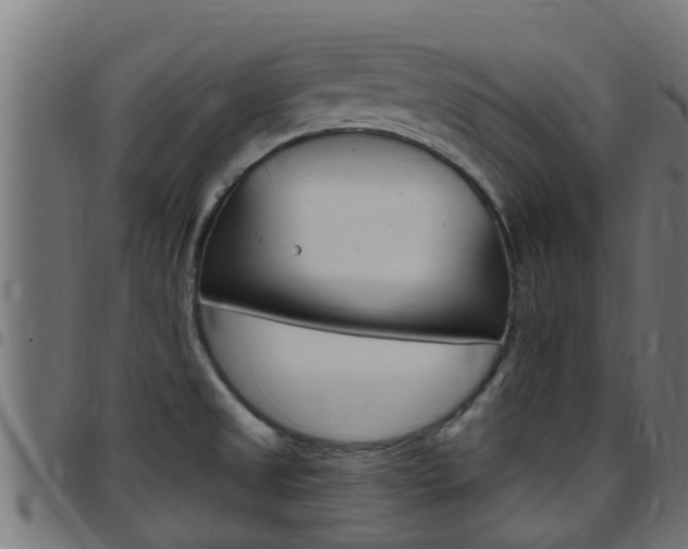 X0000097791525200803070924