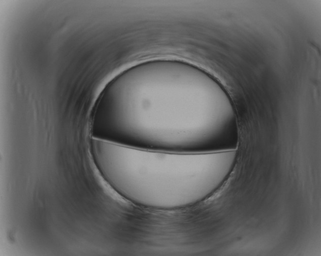X0000097791526200803070924