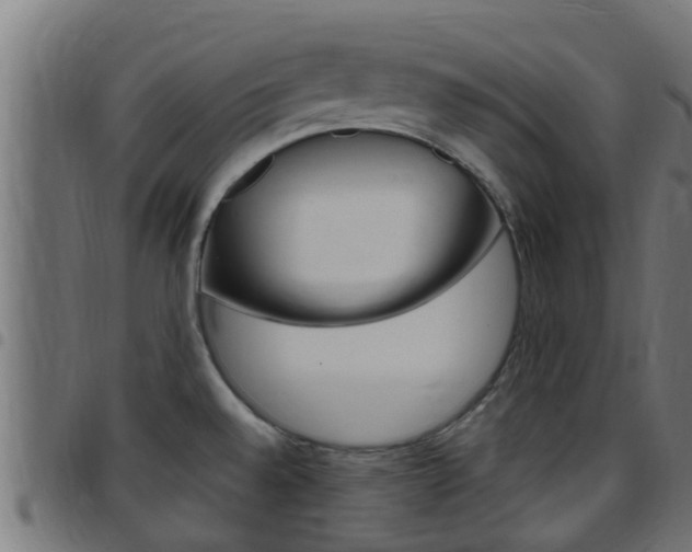X0000097791528200803070924