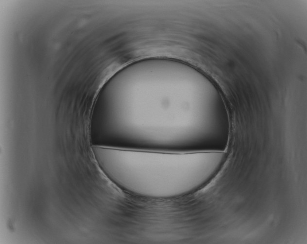X0000097791529200803070924