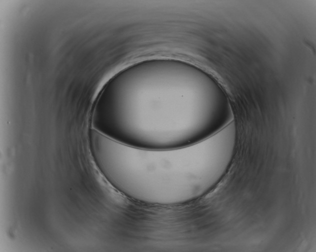 X0000097791530200803070924