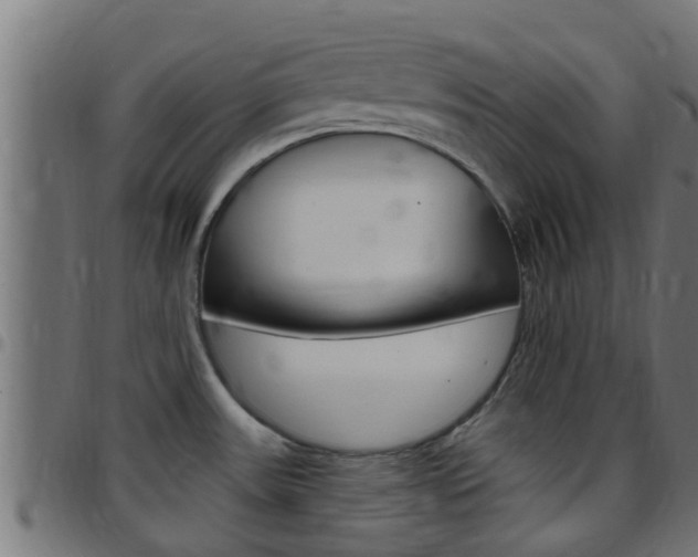 X0000097791531200803070924