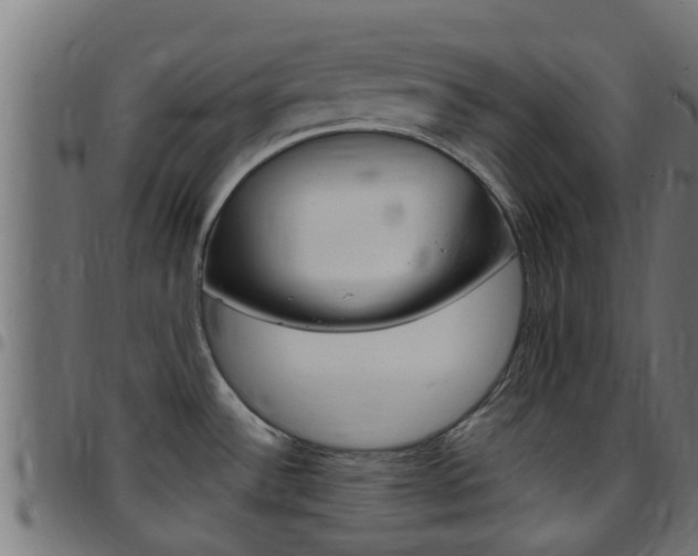 X0000097791532200803070924